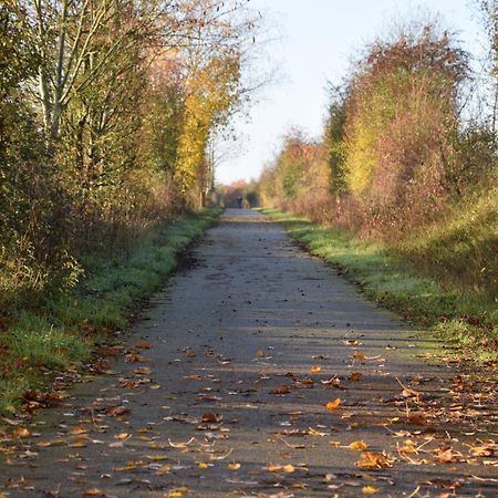 Pour Une Agreable Pause Au Parc ! Alençon Eksteriør billede